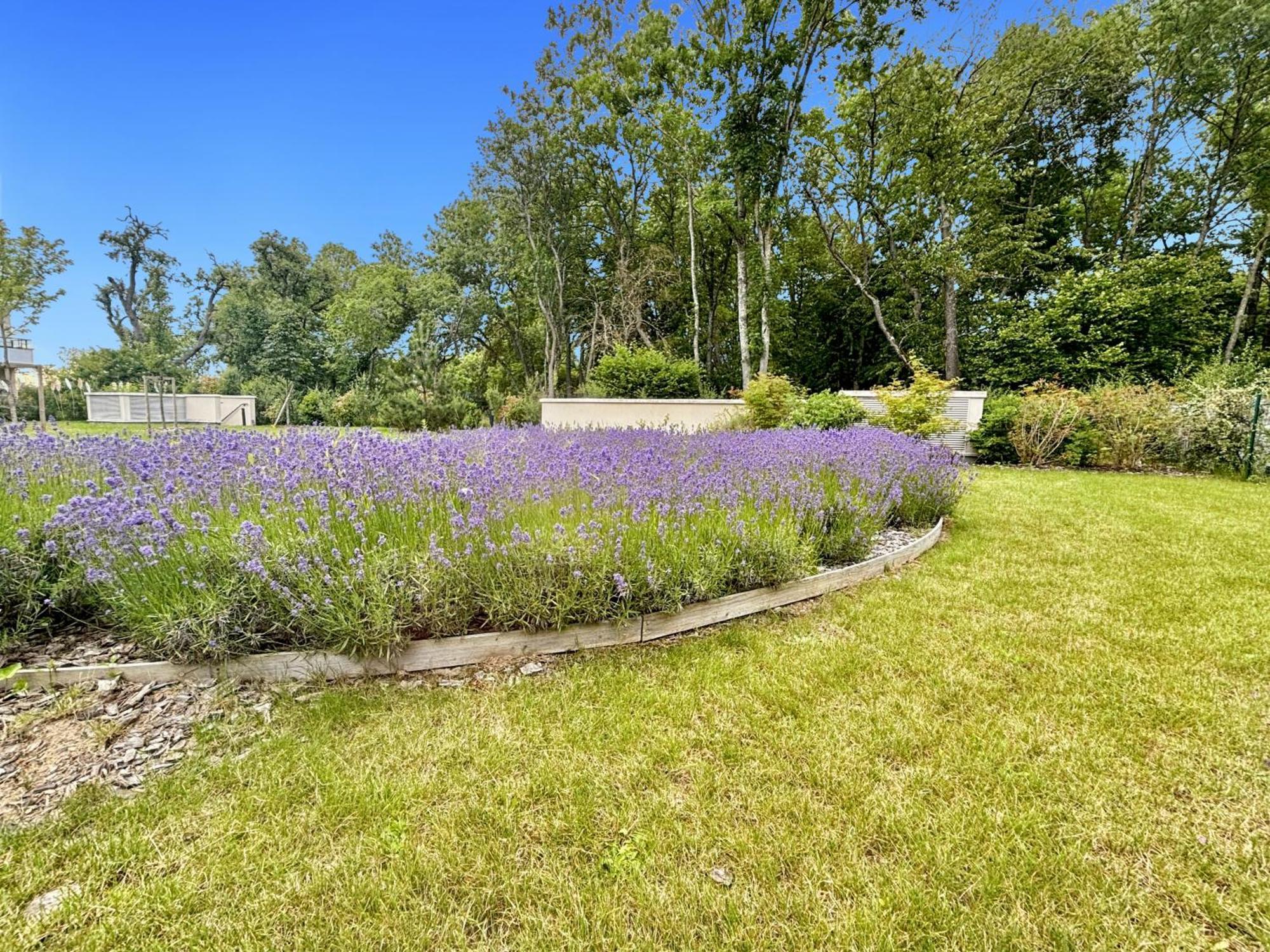 Sunny Suite Disneyland Paris - Rentaway Bnb Montévrain Exterior foto